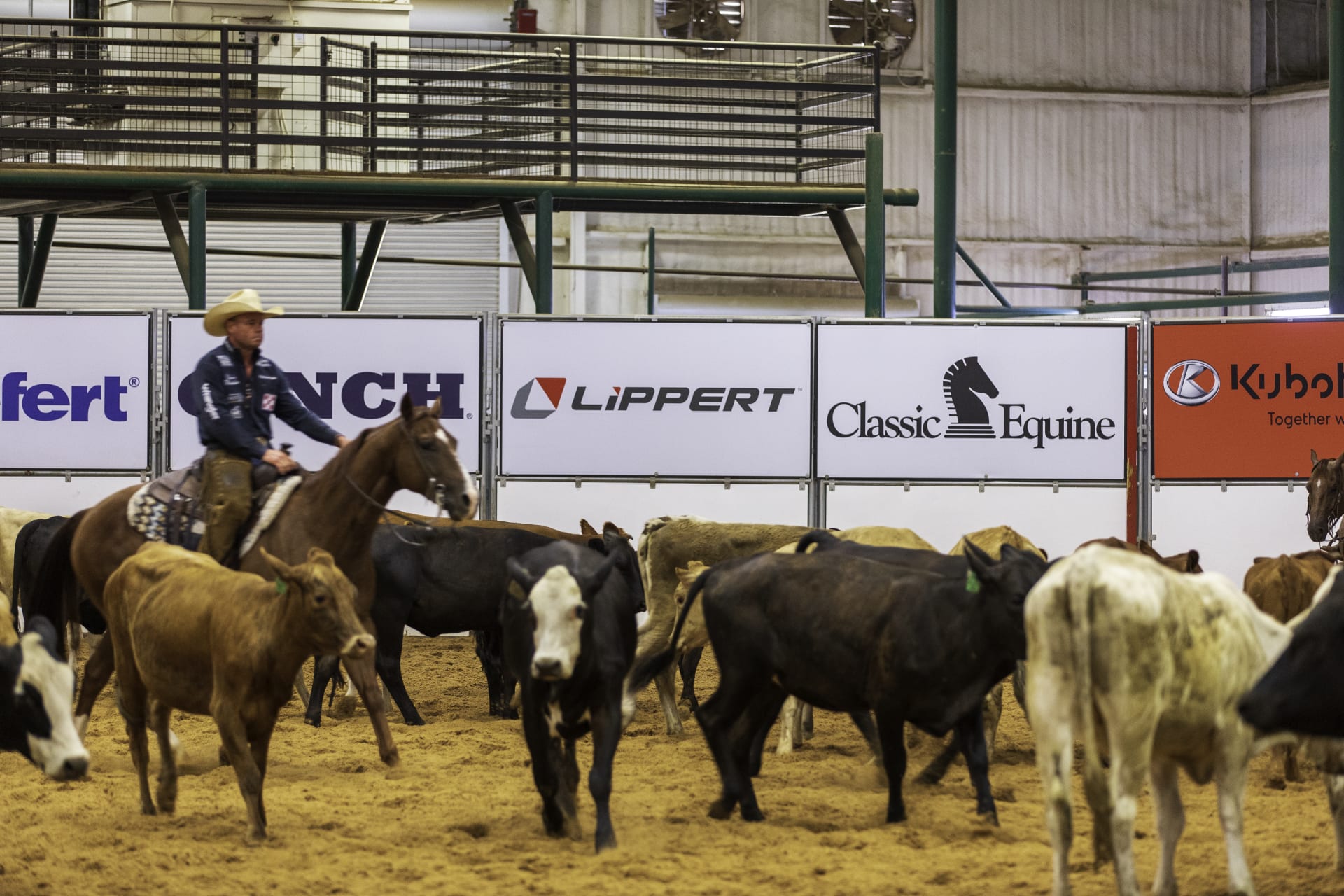 Horse Trainer Matt Mills in Partnership with Ranch Hand